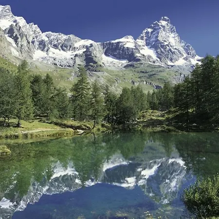Alpine Dream Apartment Valtournenche